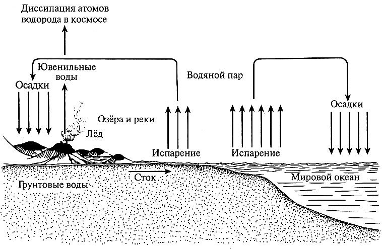 Цикл воды в организме. Круговорот воды в биосфере схема. Круговорот водорода схема. Круговорот водорода в природе. Круговорот воды в биосфере схема простая.