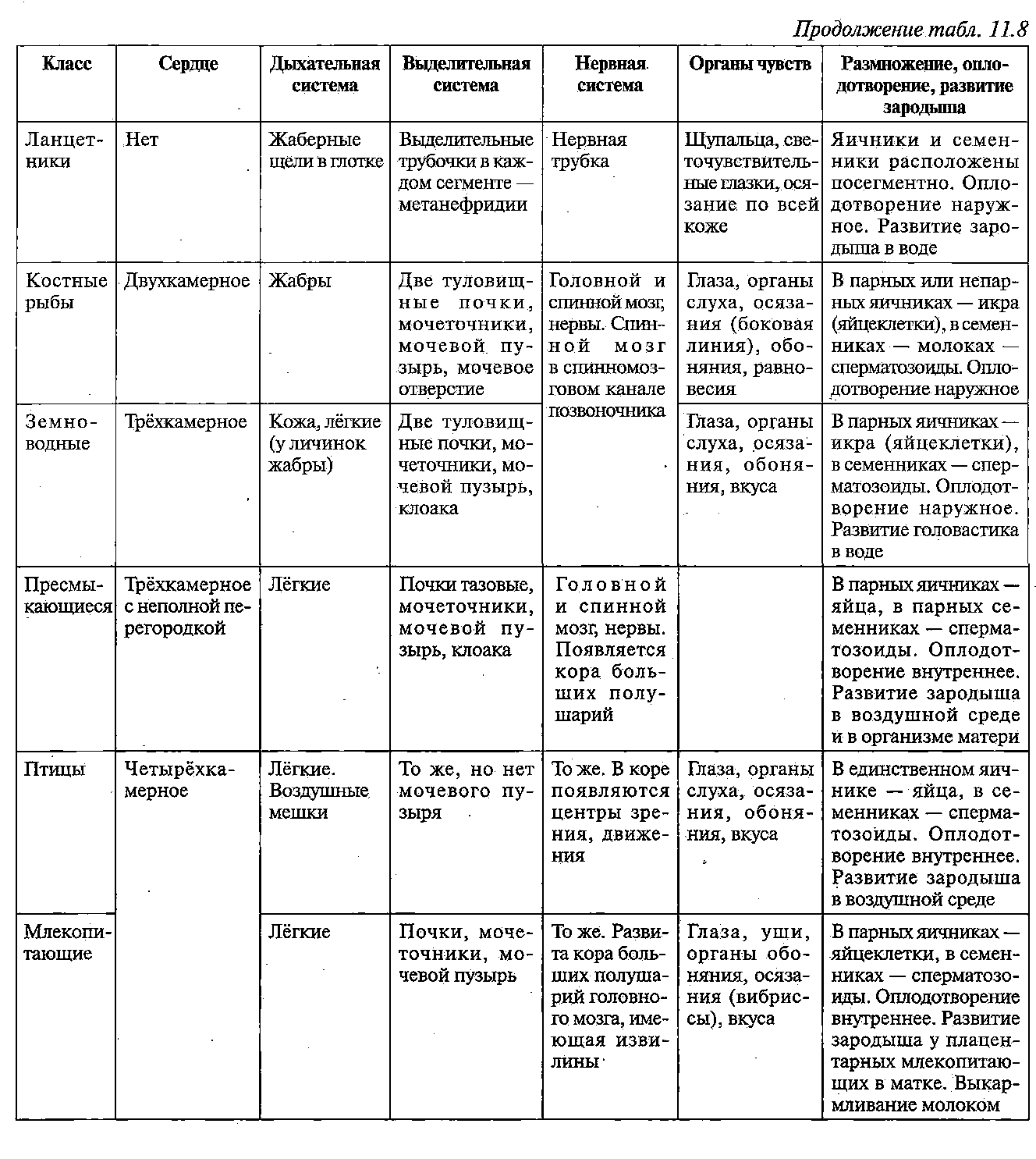Общая характеристика хордовых 7 класс таблица