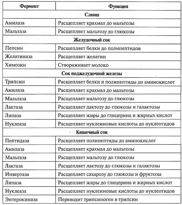 Таблица 12.12. Роль ферментов в пищеварении